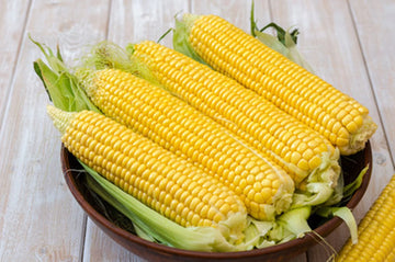 Sweet Corn Vegetable Seeds