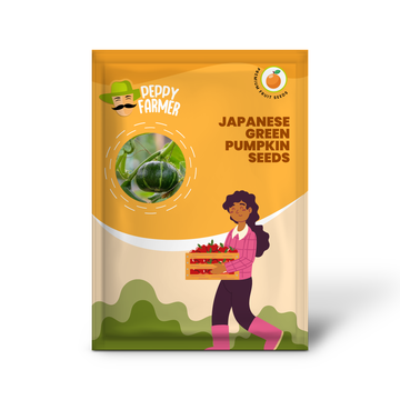 Japanese Green Pumpkin Fruit Seeds