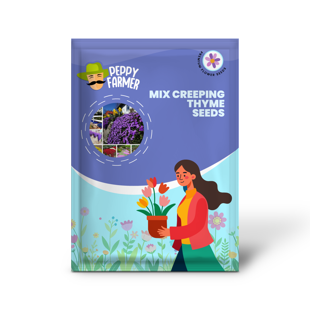 Mix Creeping Thyme Flower Seeds for Planting - NON GMO Seeds