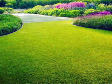 Scotts Turf Builder Grass Seed Drought Tolerant Mix