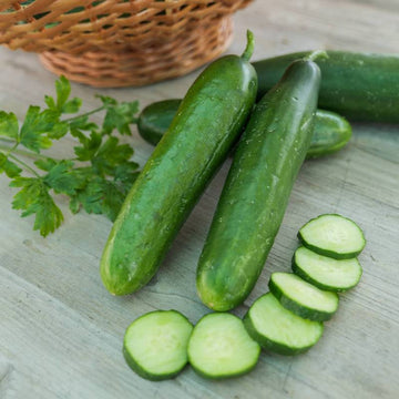 Organic Mini La Diva Cucumber Vegetable Seeds for Planting - Non-GMO garden Seeds