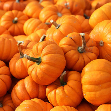 Miniature Jack Be Little Pumpkin Vegetable Seeds