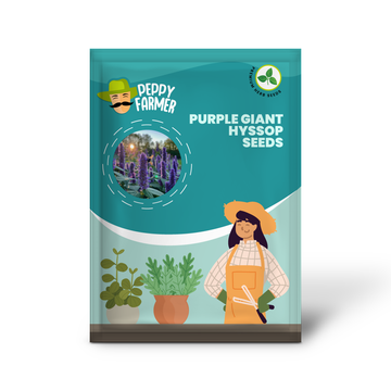 Purple Giant Hyssop Herb Seeds