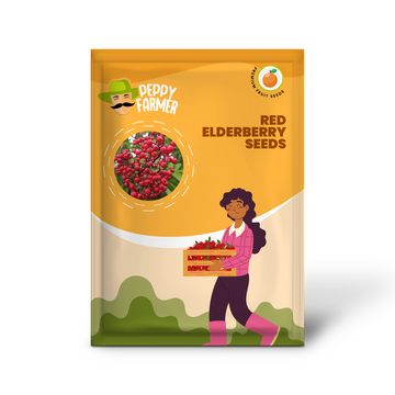 Red Elderberry Fruit Seeds