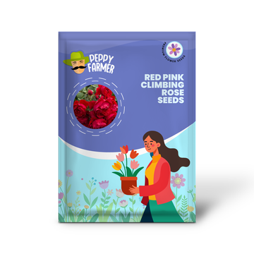 Red Pink Climbing Rose Plant Seeds for Planting Non-GMO Heirloom Garden Seeds for Home and Outdoor Growing