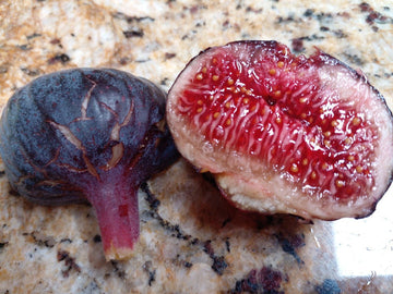 Cherry Cordial Fig Seeds for Planting - Heirloom and Non-GMO Garden Seeds