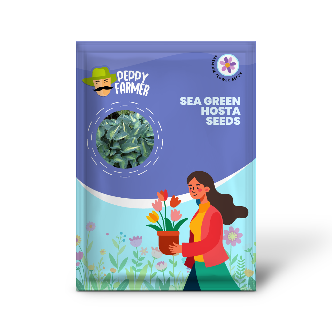 Heirloom Non-GMO Sea Green Hosta Plant Seeds for Planting