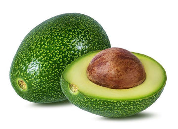 Wurtz (Littlecado) Avocado Seeds Fruit Seeds - Grow Creamy and Rich Avocados,– Grow in Cooler Climates