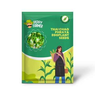 Thai Chao Phraya Eggplant Vegetable Seeds