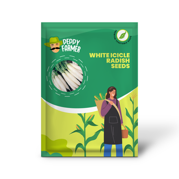 White Icicle Radish Vegetable Seeds