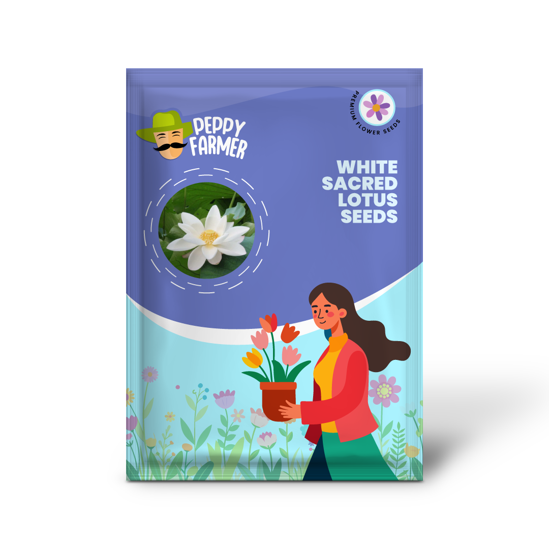 White Sacred Lotus Seeds (Nelumbo Nucifera) for Planting â€“ Heirloom, Non-GMO