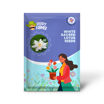 White Sacred Lotus Seeds (Nelumbo Nucifera) for Planting â€“ Heirloom, Non-GMO